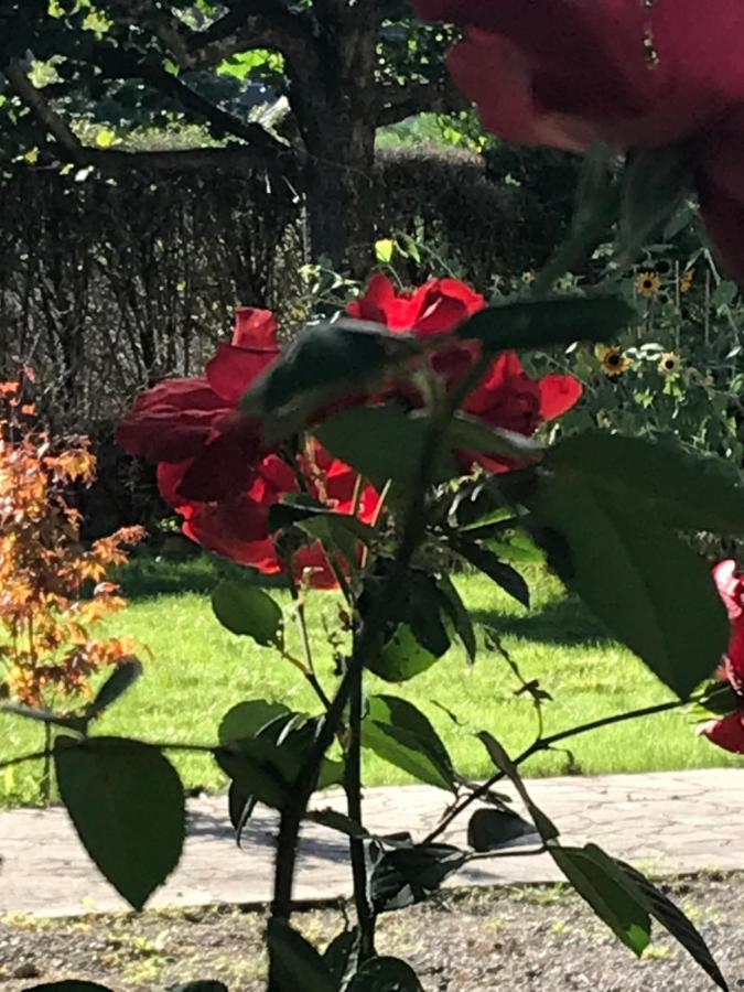 Appartamento Vue Du Gar Saléchan Esterno foto