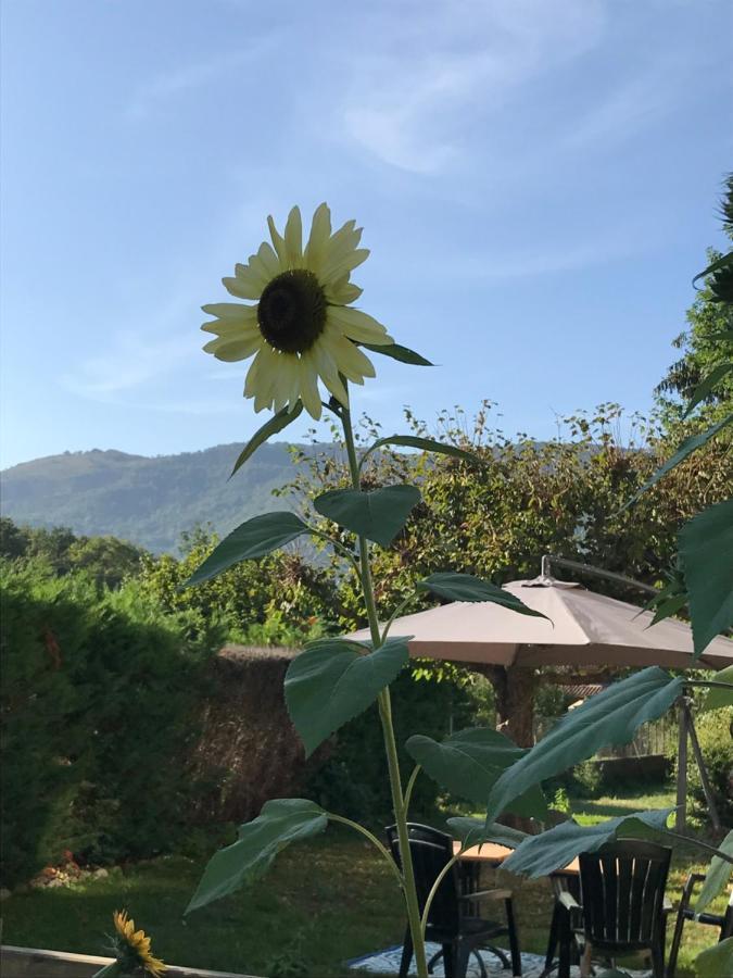 Appartamento Vue Du Gar Saléchan Esterno foto